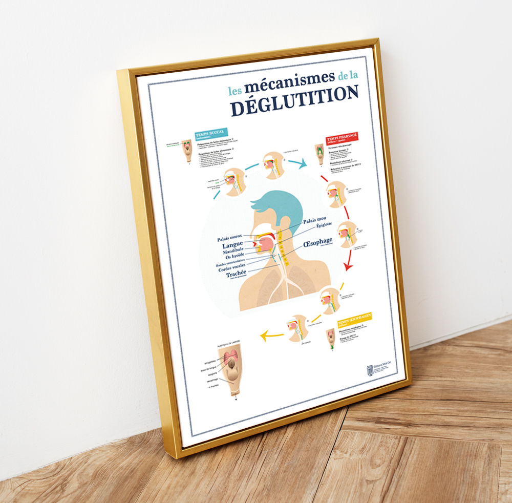 affiche déglutition jolie salle d'attente