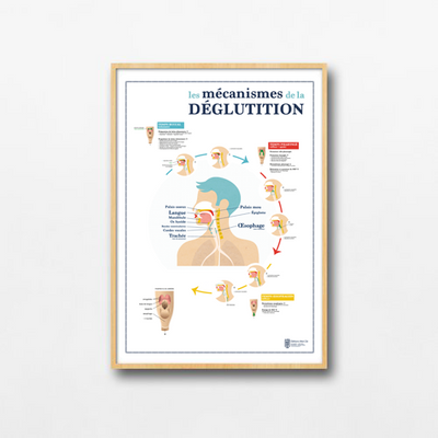 affiche déglutition jolie salle d'attente