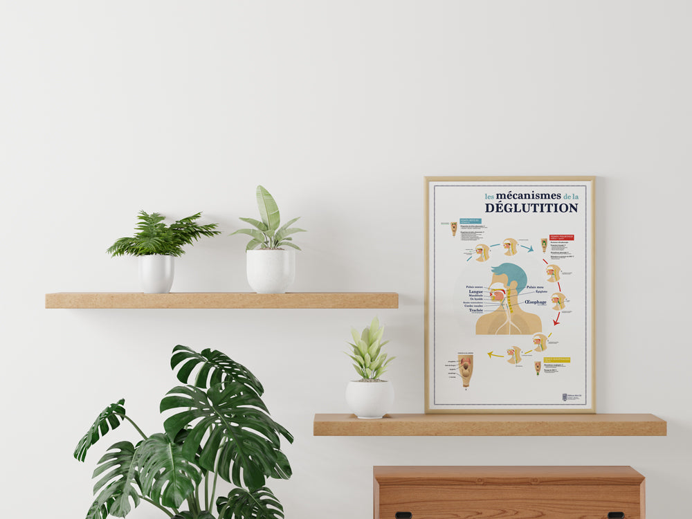 affiche déglutition jolie salle d'attente